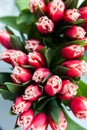 Tulips bouquet