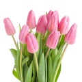 Tulips bouquet isolated Royalty Free Stock Photo