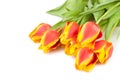 Tulips bouquet lay Royalty Free Stock Photo
