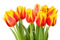 Tulips bouquet Royalty Free Stock Photo