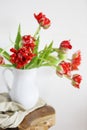 Tulips bouquet in white vase on wooden rustic chair Royalty Free Stock Photo