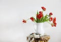 Tulips bouquet in white vase on wooden rustic chair Royalty Free Stock Photo