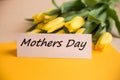 Tulips bouquet yellow on a light background, on the plate the inscription mother`s day