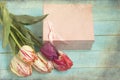 Tulips with box on a wooden background Royalty Free Stock Photo