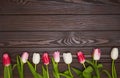 Tulips on a brown wooden background Royalty Free Stock Photo