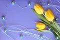 Tulips Card - Mothers Day or Easter Stock Photo Royalty Free Stock Photo