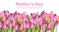 Tulips card Vector watercolor. Mother day holiday background. Spring colorful floral bouquets Royalty Free Stock Photo