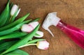 Tulips and Clean Bottle Freshness Concept Royalty Free Stock Photo