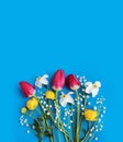 Tulips, daffodils and lilies of the valley on a blue background. Spring flower arrangement. The view from the top. Background for Royalty Free Stock Photo