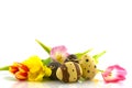Tulips and easter eggs Royalty Free Stock Photo