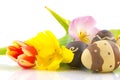 Tulips and easter eggs Royalty Free Stock Photo