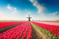 Tulips field windmill. Generate Ai Royalty Free Stock Photo