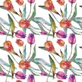 Tulips floral botanical flowers. Watercolor background illustration set. Seamless background pattern. Royalty Free Stock Photo