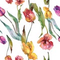 Tulips floral botanical flowers. Watercolor background illustration set. Seamless background pattern. Royalty Free Stock Photo