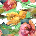 Tulips floral botanical flowers. Watercolor background illustration set. Seamless background pattern. Royalty Free Stock Photo