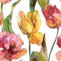 Tulips floral botanical flowers. Watercolor background illustration set. Seamless background pattern. Royalty Free Stock Photo