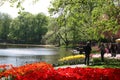 Tulips in flower beds by lake, Keukenhof Gardens Royalty Free Stock Photo