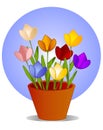 Tulips in Flower Pot Clip Art