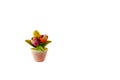 Tulips flower in vase as magnetic souvenir on white background