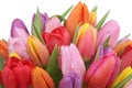 Tulips flowers bouquet in spring, birthday or mother's day isola Royalty Free Stock Photo