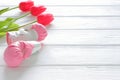 Tulips flowers and boxing gloves on wooden background, femenism concept