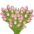 Tulips flowers in a heart shape. EPS 10 Royalty Free Stock Photo