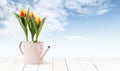Tulips flowers plants in pink watering can isolated on wooden white table and sky background, web banner florist shop or gift card