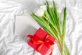 Tulips flowers, red gift box and empty card for text. Mock-up. Concept of womans day, mothers day Royalty Free Stock Photo