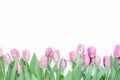 Tulips flowers on white background. Flat lay, top view. Lovely greeting card with tulips for Mother`s day, wedding or happy event Royalty Free Stock Photo