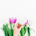 Tulips flowers and woman hand on white background. Flat lay, Top view. Royalty Free Stock Photo