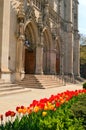 Tulips in front of the Heinz Chapel