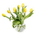 Tulips in a glass vase