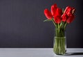 tulips in a glass vase on a white table with dark background Royalty Free Stock Photo