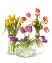 Tulips in glass vases still life Royalty Free Stock Photo