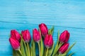Tulips heads on blue table