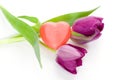 Tulips and heart