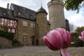 Tulips and Hexenturm (Witches\' Tower) in the old town of Idstein in Germany Royalty Free Stock Photo