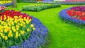 Tulips and hyacinths in the round flower beds close-up. Perfect lawn edge. Scenery photo with original circular flower beds in Royalty Free Stock Photo