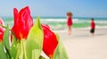 Tulips and kids on beach