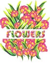 Tulips with letters hand drawn watercolor, EPS10 illustration. For t-shirt design Royalty Free Stock Photo