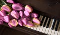 Tulips lie on the piano keys