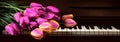 Tulips lie on the piano keys