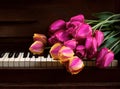 Tulips lie on the piano keys