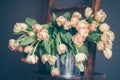 Tulips on metal bucket.