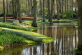 Brightly coloured tulips and muscari by the lake at Keukenhof Gardens, Lisse, Netherlands. Keukenhof is known as the Garden of Royalty Free Stock Photo