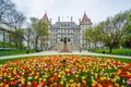 Tulips and The New York State Capitol, in Albany, New York