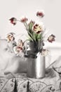 Tulips in old Milk Can Royalty Free Stock Photo