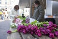 Tulips on open air market in the netherlands with salesman and c Royalty Free Stock Photo