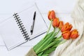 Tulips and Open Book Royalty Free Stock Photo