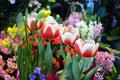 Tulips and Other Colorful Bouquets